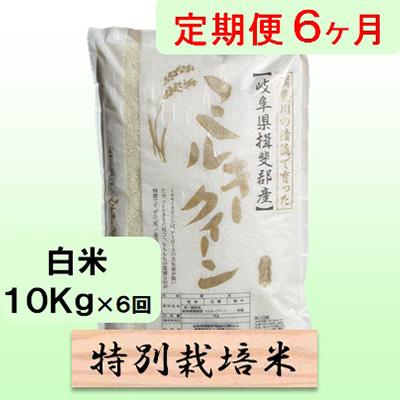 ふるさと納税 池田町 【毎月定期便】6ヶ月【令和7年産】特別栽培米10kg【白米】(ミルキークイーン)全6回