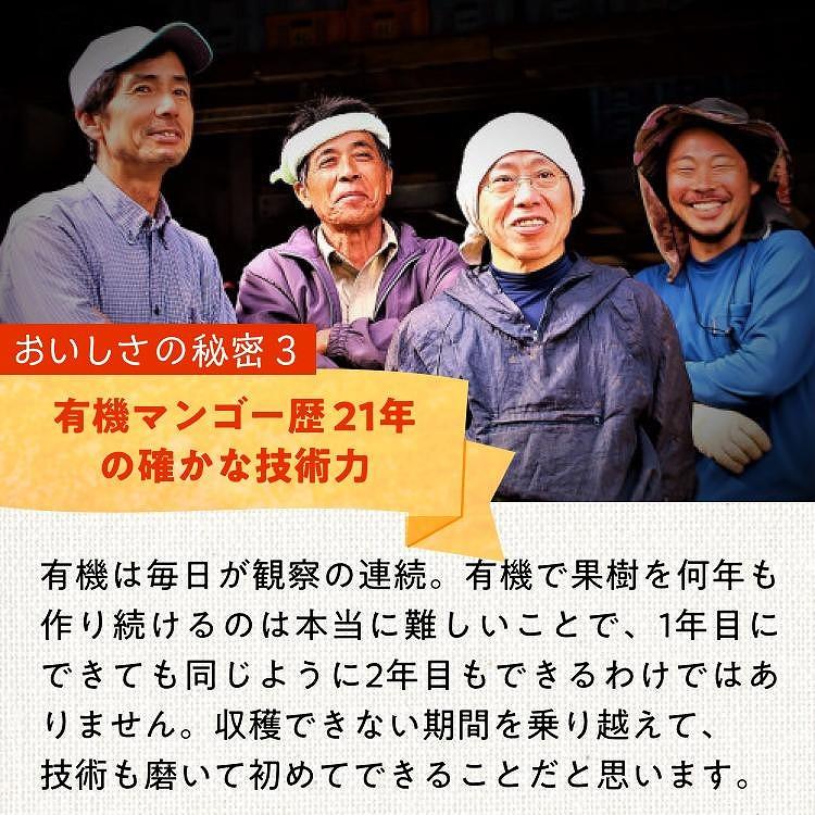 DQ015《先行予約》2026年発送 有機JAS認証マンゴー（アーウィン）贈答用 2kg【楽園の果実】