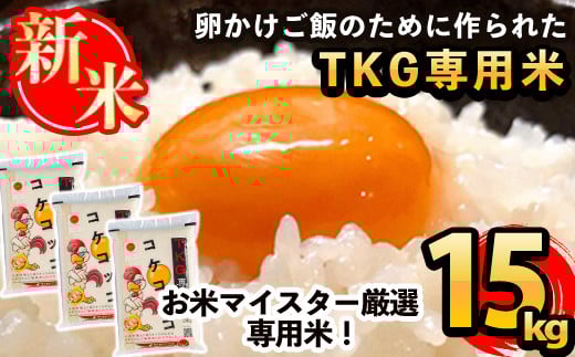 
            C-062 《令和7年産新米 先行予約受付中！2025年11月以降順次発送予定》日本初！卵かけご飯専用米!コケコッコ(TKG専用米)計15kg(5kg×3パック)【山口米店】お米 精米 白米 米 お米 こめ コメ
          