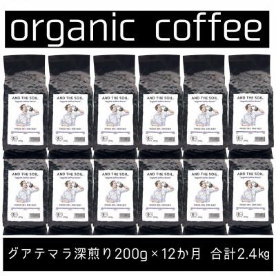 ふるさと納税 福岡市 【毎月定期便】ANDTHESOIL.焙煎オーガニックコーヒー豆GUA深煎り200g ME32全12回
