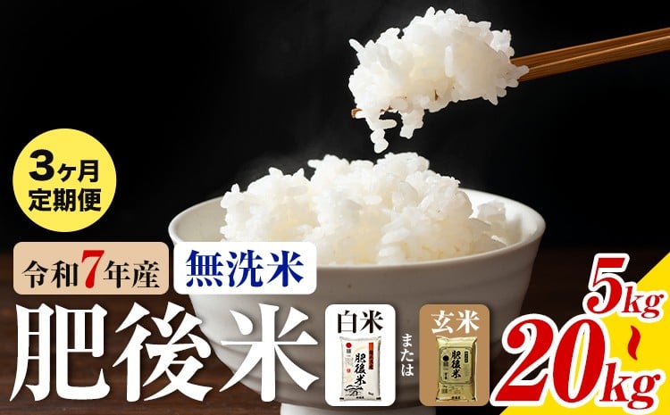 
                  【3ヶ月定期便】熊本県産 肥後米 無洗米 白米 玄米 5kg/10kg/20kg 選べる内容量 1袋5kg 米 お米 令和7年産 九州産 熊本県産 送料無料《お申込み翌月に出荷予定》玄米 無洗米 白米 米
                