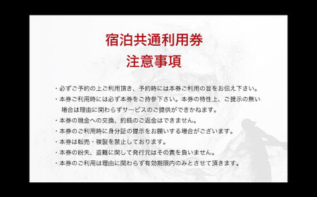 【山武市内】宿泊施設利用券2枚 SMBJ017／ 宿泊 宿泊利用券 利用券 チケット 宿泊施設 施設利用券 千葉県 山武市