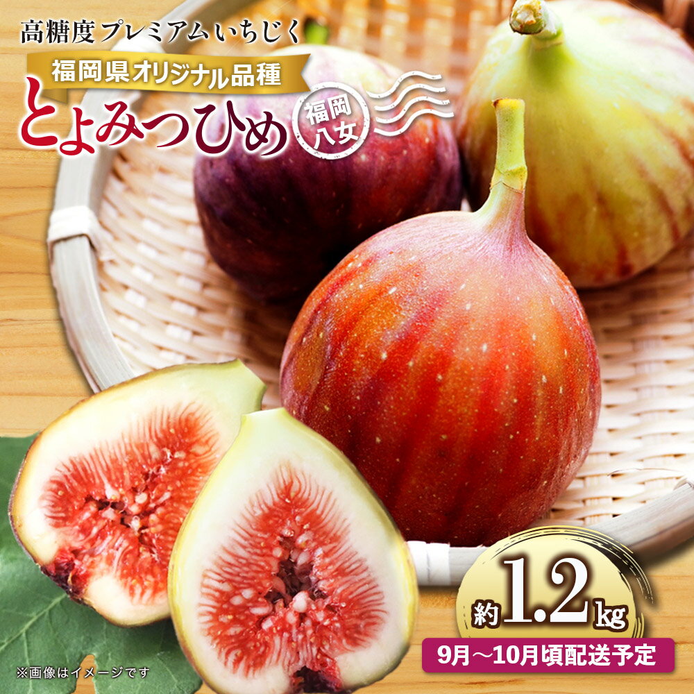 【ふるさと納税】【先行受付】【2026年9月〜10月頃順次発送】福岡県オリジナル品種 高糖度プレミアムいちじく 「とよみつひめ」約1.2kg＜配送不可：北海道・沖縄・離島＞ フルーツ 無花果 くだもの 果物