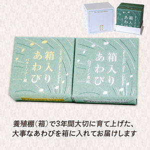 【 贈答用 】 翡翠あわび 2個セット 箱入り 缶詰 鮑 アワビ 翡翠鮑 箱入り 国産 海鮮 養殖 おつまみ 大船渡 三陸 岩手 プレゼント