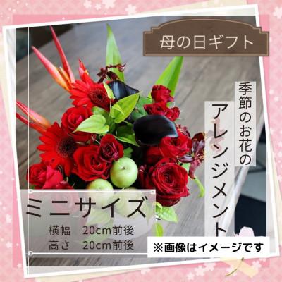 ふるさと納税 筑西市 【母の日】季節のお花のアレンジメント/ミニサイズ〜花瓶不要!届いてそのまま飾れるフラワーアレンジ
