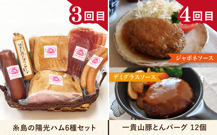 【全12回定期便】肉のお楽しみ定期便 食べ比べ セット ( 博多和牛 糸島和牛 糸島豚 はかた地どり イノシシ ウインナー シャトーブリアン ステーキ ハム ソーセージ ハンバーグ ) 糸島市 [AA