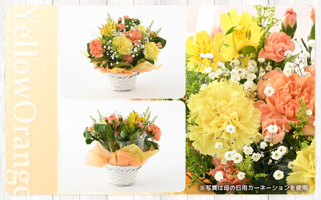 【母の日ギフト】 選べるカラー 季節のフラワーアレンジメント S (イエロー・オレンジ)（母の日対応） 【お花 フラワー アレジメント 花束 ギフト 生花 プレゼント 花束 花 記念日 お祝い】 [A