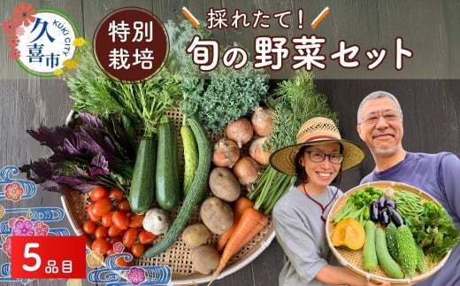 旬の野菜セット 5品目 特別栽培 1回 | 野菜 やさい 採れたて 生野菜 おまかせ 詰め合わせ 新鮮 旬 季節 春野菜 夏野菜 秋野菜 葉物 根菜 季節限定 地元産 野菜 農業 農家 食育 お取り寄せ 埼玉県 久喜市 たかしま農園