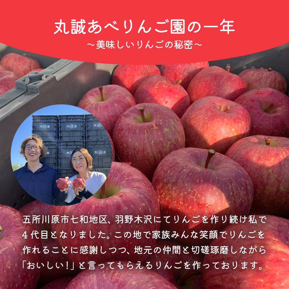 りんご　サンふじ約3㎏訳あり【2024年12月後半発送】青森りんご3㎏ 五所川原産りんご さんふじりんご