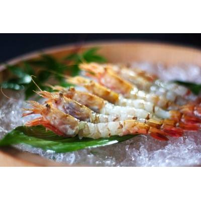 ふるさと納税 鳥取市 鳥取県産 冷凍もさえび【中村商店】 |  | 01