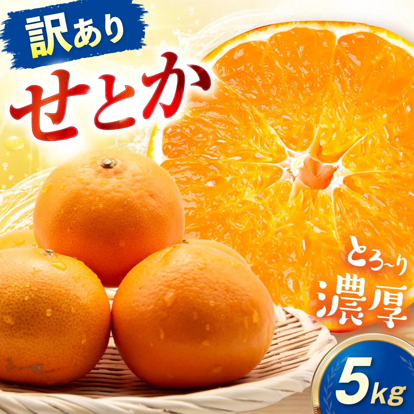 みかん 訳あり せとか 約5kg サイズ不揃い みかん BJAZ022 