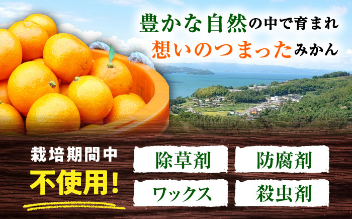 〈先行予約〉【11月中旬頃～1月中旬配送】長崎県産 温州みかん 約2.5kg 大村市 山光農園 [ACAI001]