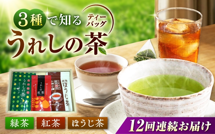 
                  【12回定期便】 うれしの茶ティーバッグ 3種飲み比べ（緑茶・ほうじ茶・紅茶 各1袋） お茶 緑茶 ほうじ茶 紅茶 嬉野茶 /有限会社 原製茶園 [UEJ012]
                