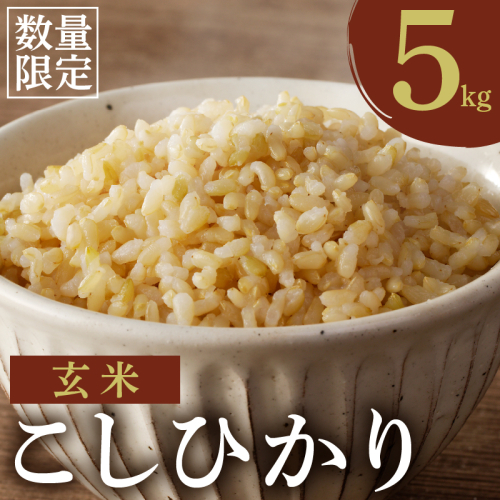 先行予約≪都農町産≫新米コシヒカリ(玄米)5kg 米 お米 ご飯 国産_T031-0035
