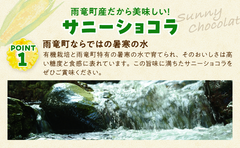 【令和8年産先行受付】生でも美味しい！ とうもろこし 「 サニーショコラ 」 10本（Lサイズ）【配送不可地域：沖縄・離島】