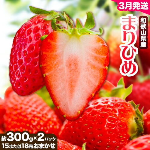 【ふるさと納税】【2026年3月頃発送予定】和歌山県産ブランド いちご「まりひめ」約300g×2パック (15または18粒おまかせ) 日高川町厳選館《3月上旬-3月末頃出荷予定》和歌山県 日高川町 送料無料 苺 鞠姫 マリヒメ フルーツ 果物 お取り寄せ 【配送不可地域あり】