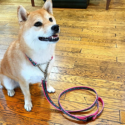 【ふるさと納税】【中型犬用・Mサイズ】ハーフチョークカラーとリードのセット（ブルーフラワー） 雑貨 日用品 ペット用品