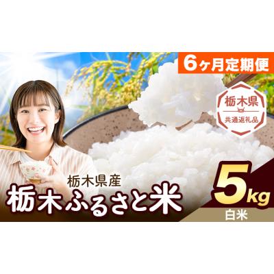 ふるさと納税 野木町 【6ヶ月定期便】栃木ふるさと米 白米 5kg 栃木県 野木町《翌月から出荷》【栃木県共通返礼品】