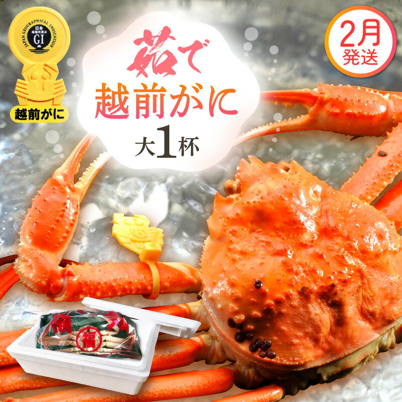 【ふるさと納税】≪浜茹で≫越前がに 大サイズ（生で800g前後） × 1杯 食べ方しおり かにスプーン付き【雄 ズワイガニ 越前ガニ かに カニ 蟹 姿 ボイル 冷蔵 福井県】【2月発送分】希望日指定可 備考欄に希望日をご記入ください [e15-x010_02]
