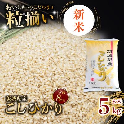 ふるさと納税 下妻市 【令和8年産先行受付】玄米 コシヒカリ 5kg 茨城県下妻市産