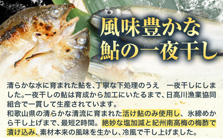 「旨いはずです。」特選あゆ一夜干しセット(13枚入)　日高川漁業協同組合《90日以内に出荷予定(土日祝除く)》 和歌山県 日高川町 あゆ 鮎 魚 一夜干し(f-2)