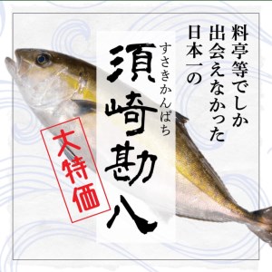勘八 藁焼き たたき カンパチのたたき 約350g 国産 わら焼き 鮮度抜群 高知 須崎