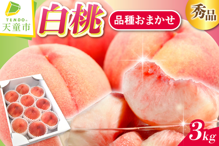 白桃 品種 おまかせ 3kg フルーツ 果物 山形 桃