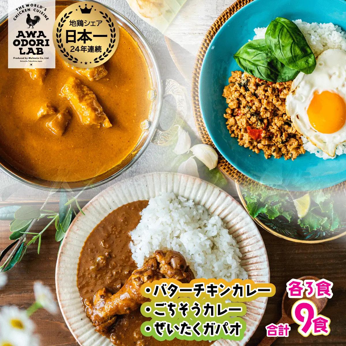 旅する阿波尾鶏シリーズ 3種 各3食入 計9食 バターチキンカレー ごちそうカレー ぜいたくガパオ カレー ガパオ タイ料理 常温 レトルト AWAODORI LAB