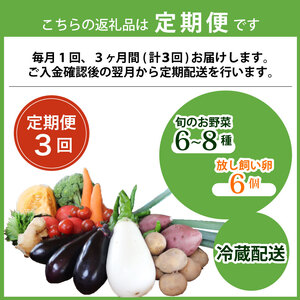 【定期便3回】【産地直送】旬のお野菜詰め合わせ 6～8種類 卵 6個付き