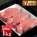 【ふるさと納税】＼レビューキャンペーン／【常陸牛特選A5】ヒレステーキ250g×2～4枚 ｜ 選べる内容量 2枚 / 3枚 / 4枚 合計500g～1kg【お肉・牛肉・ヒレ・ヒレステーキ・ステーキ】