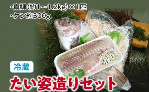 
（冷蔵）たい姿造りセット／伊勢志摩　熊野灘　鈴木水産　真鯛　タイ　お刺身　塩焼き　鯛めし　煮付け　豪華姿造り　度会町
