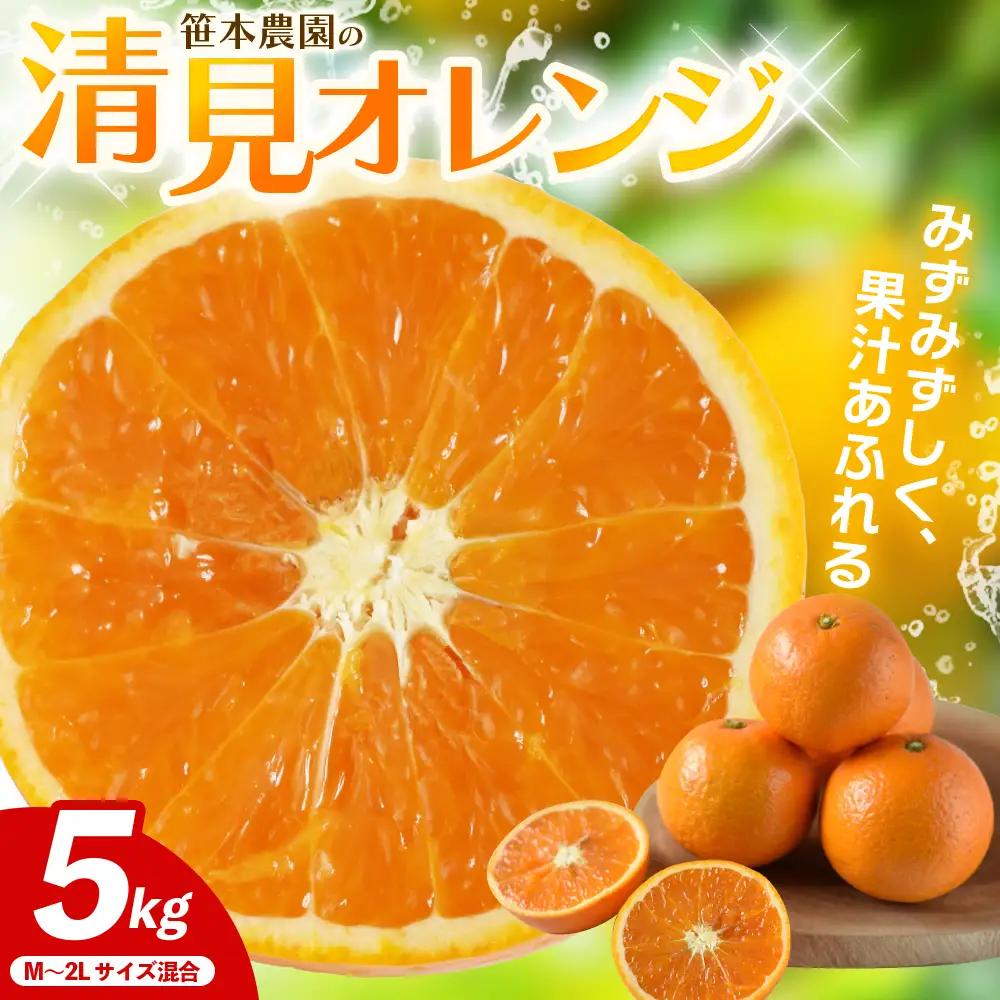 清見オレンジ 笹本農園の清見オレンジ 約5kg M～2Lサイズ混合 みかん【ssmt0003】