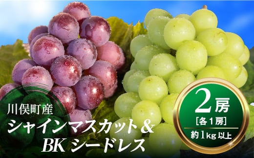 
                  【先行予約】川俣町産 シャインマスカット&BKシードレス 約1kg以上 FAF-0063
                