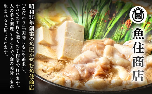 A1593.魚住商店特製塩もつ鍋セット2～3人前・〆のチャンポン麺付き【満足もつ増量500g】