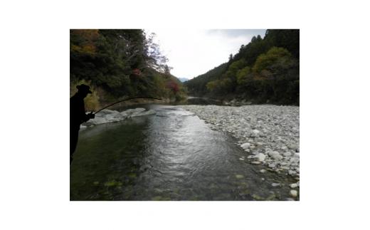 アウトドア イベント 体験 「面河川の鑑札（遊漁券）：石鎚山から仁淀川に繋がる清流 ”面河川” での渓流釣り（腕章A）」｜家族 旅行 男の子 女の子 夏休み 長期休暇 愛媛 久万高原町