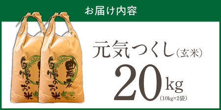 【2026年10月より順次発送】福岡県産ブランド米元気つくし 玄米 20kg【令和8年産 新米】 _  元気つくし 20kg 福岡県産 ブランド米 新米 福岡生まれ 品種 香り豊か ふっくら 食感 ご