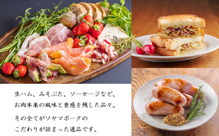 ソヤマポークの加工品詰め合わせTF862-P00078