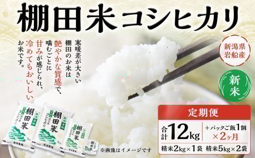 【新米受付・令和7年産米】【定期便：2ヶ月連続でお届け】新潟県村上市岩船産 棚田米コシヒカリ 12kg+パックごはん(150ｇ×1個) ×2ヶ月 1067117N 毎月 新米予約 お米 白米 こしひかり 精米 村上市 