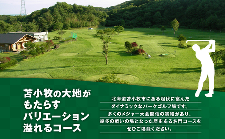 糸井の森 1日プレー券（ 10枚セット ） T061-002 体験 チケット