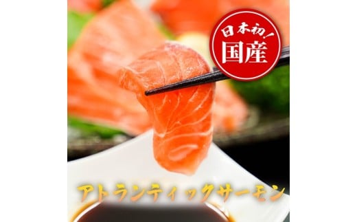 10B8【日本初：完全陸上養殖】小山町産 アトランティックサーモン【冷凍】800ｇ +アラ付きセット