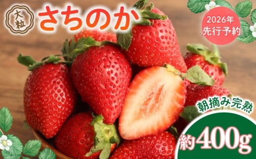 【 先行予約 】 さちのか 約400g 1箱 大粒 9~18個 新鮮 産地直送 朝摘み 厳選 アフター 保証 付き 2月 発送 開始 苺 イチゴ ストロベリー strawberry フルーツ 果物 旬 数量限定 期間限定 ichigo itigo 千葉県 旭市 向後いちご園 kie001