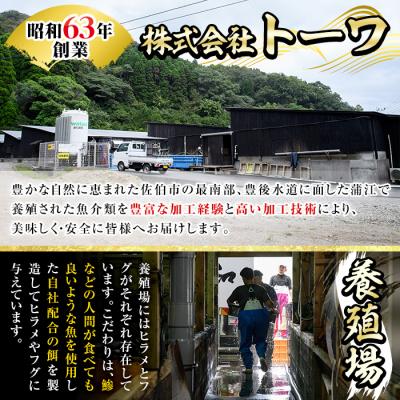 ふるさと納税 佐伯市 生簀直送 とらふぐ 鍋 セット (4-5人前) |  | 01