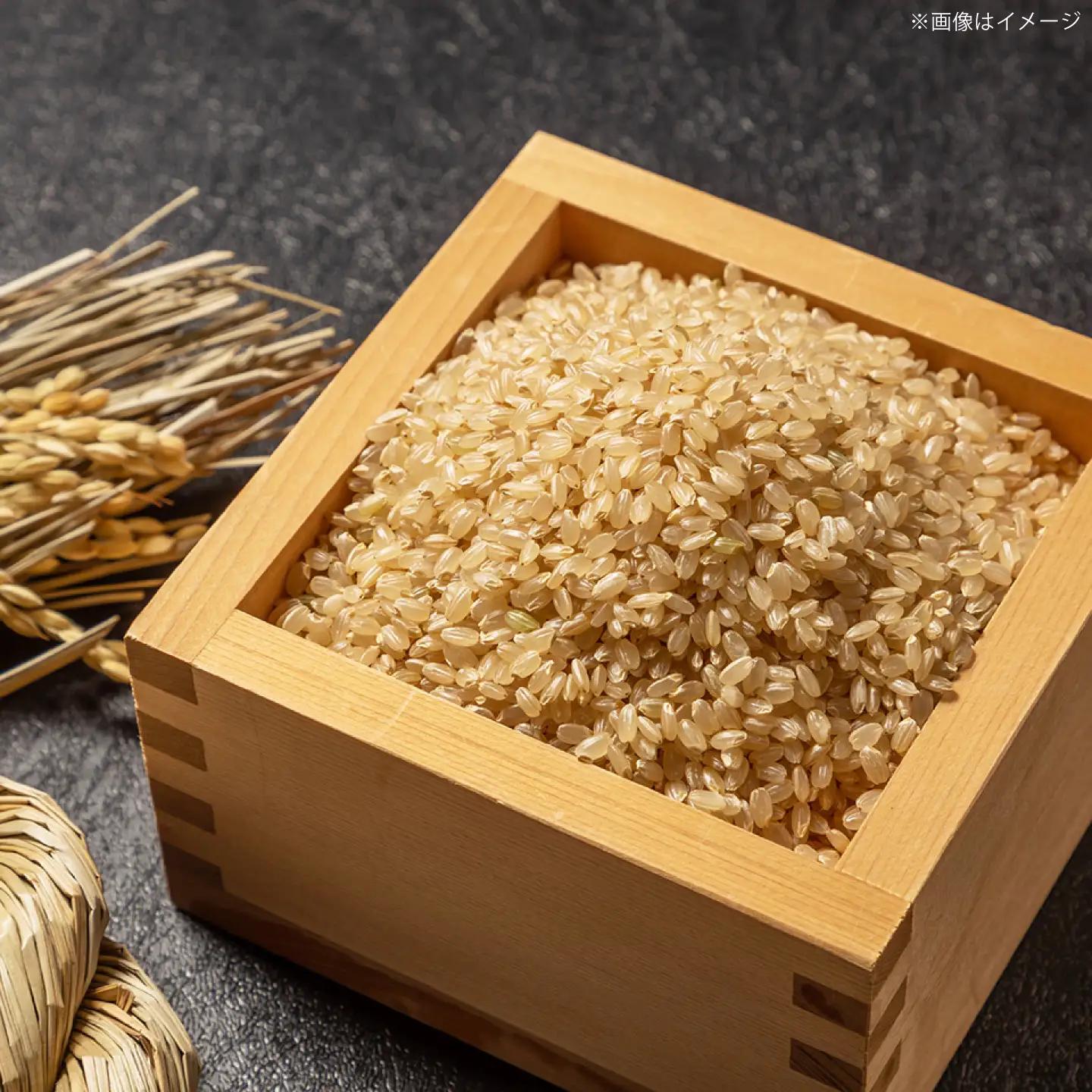 【先行予約 2026年10月～発送】ヒノヒカリ 玄米 10kg 【片渕農園】令和8年産 新米 [IDG007]