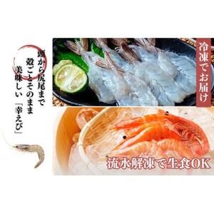 地球に優しい国産エビ　冷凍「幸えび」160g×2袋(合計320g) 静岡県磐田市産【配送不可地域：離島】【1417710】