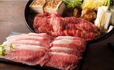 熊本黒毛和牛「藤彩牛」厳選3種の食べ比べセット計600g|フジチク