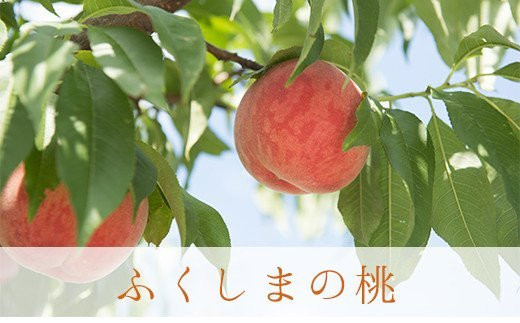 
            No.2243もも「あかつき」約3kg【2025年発送　先行予約】
          