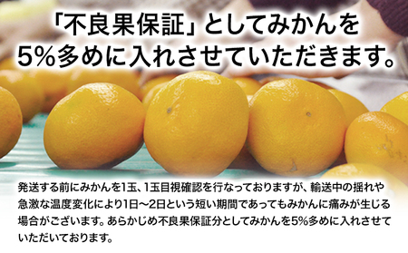 ご家庭用 熊本 大粒みかん 約5kg (3L～5Lサイズ)大玉 みかん 先行予約 熊本 ちょっと 訳あり 傷 たっぷり 熊本県産 熊本県 期間限定 フルーツ 旬 柑橘 長洲町 大粒みかん《2025年1