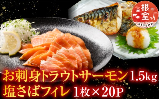 C-09021 お刺身トラウトサーモン1.5kg、塩さばフィレ1枚×20P