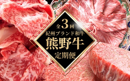 定期便【全3回/毎月お届け】 熊野牛A4以上【tkb312】