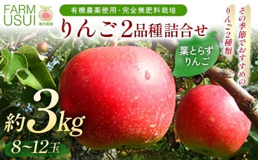 有機農薬使用・完全無肥料栽培「りんご2品種詰合せ」葉とらずりんご約3㎏（8～12玉） F7X-0461